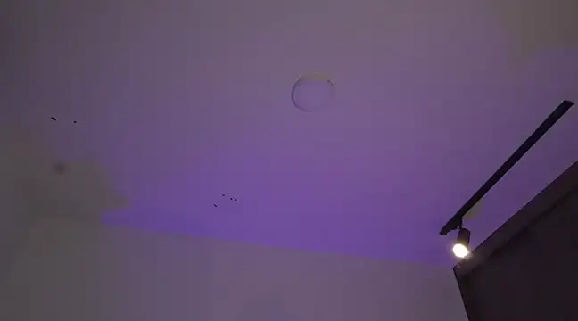 appolo allen online show from 03/17/25, 07:24