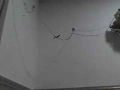 Snapshot of pedrodavid_ chatting on 12/08/24, 12:18 pedrodavid online show from 12/08/24, 12:18