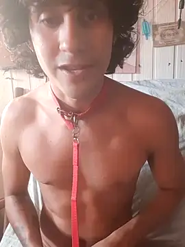 pedrodavid  online show from 05/06/26, 08:58