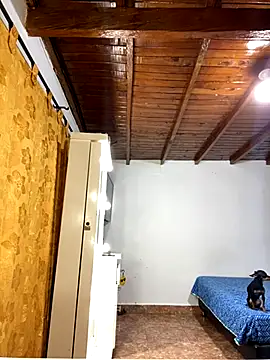 Zaratattoox online show from 12/01/25, 09:53