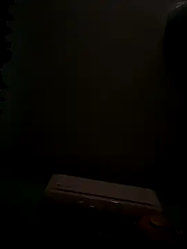 Snapshot of MephiticBermudas chatting on 10/20/25, 06:25 MephiticBermudas online show from 10/20/25, 06:25