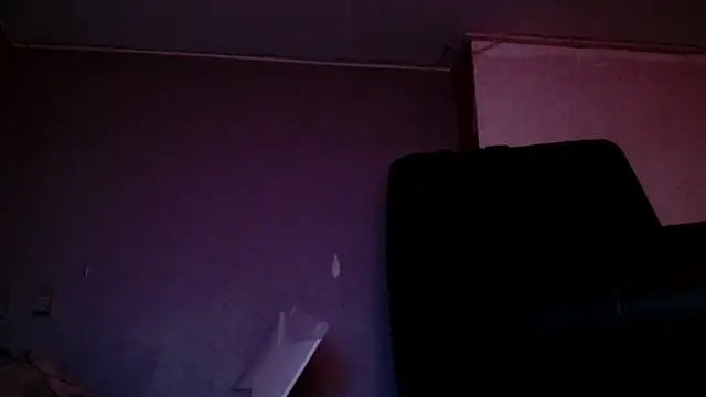 Snapshot of Gigadickman chatting on 12/15/24, 09:42 Gigadickman online show from 12/15/24, 09:42