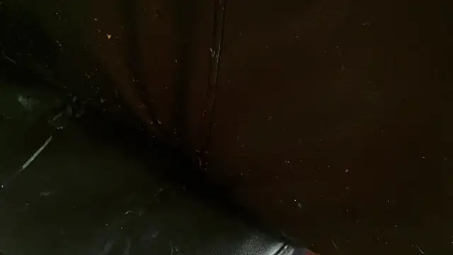 Gigadickman online show from 01/02/25, 10:11