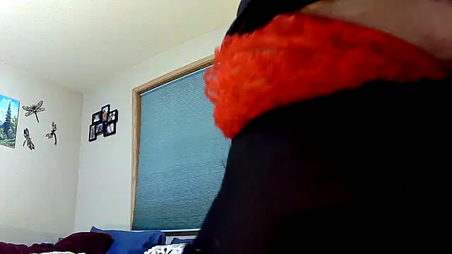lilyhornyhousewife online show from 12/23/24, 10:55