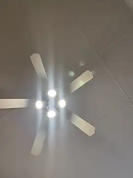 Snapshot of Dicktator16 chatting on 02/15/26, 03:31 Dicktator16 online show from 02/15/26, 03:31