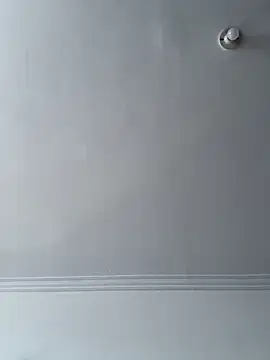 Sara luna  online show from 12/14/24, 09:56