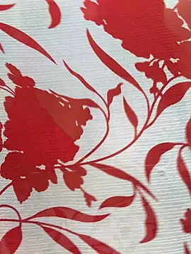 Sexy Evelynn online show from 02/22/26, 04:24