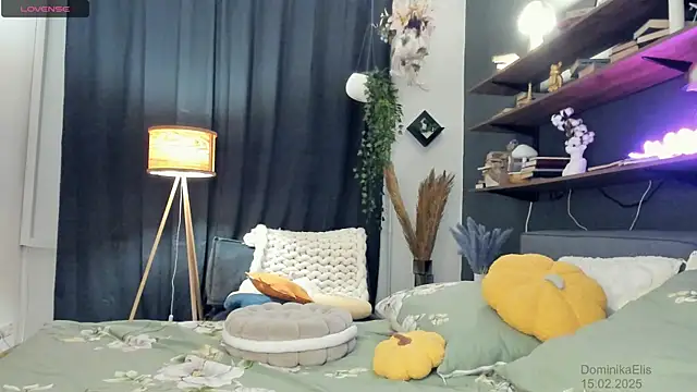 DominikaElis online show from 02/15/25, 08:11