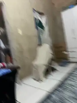 HenriqueH3 online show from 03/02/26, 04:14