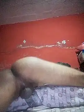 Snapshot of VL25DN26 chatting on 12/22/24, 01:33 VL25DN26 online show from 12/22/24, 01:33