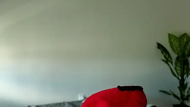 Sapphir3xoxo online show from 09/24/25, 03:15