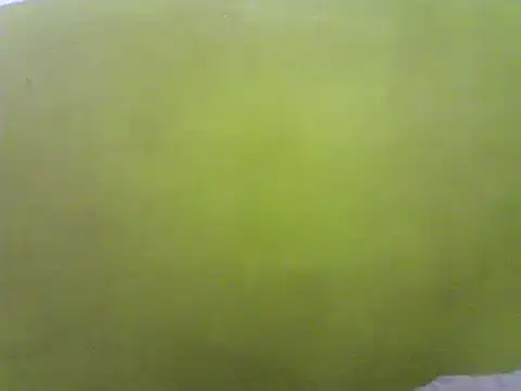 Snapshot of Claris2 chatting on 01/21/25, 06:34 Claris2 online show from 01/21/25, 06:34