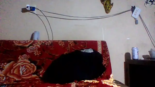 sellvageria online show from 02/26/26, 03:49