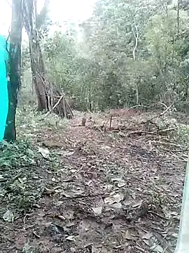 andreu mature online show from 03/03/25, 04:14