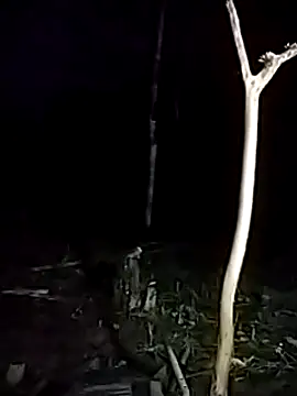 andreu mature online show from 03/17/25, 11:43