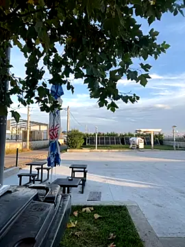 baramadalin online show from 10/26/25, 05:24