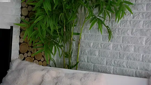 LowOncoming online show from 03/25/26, 01:55