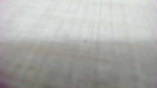 Snapshot of AishaRouhi chatting on 02/14/26, 05:26 AishaRouhi online show from 02/14/26, 05:26