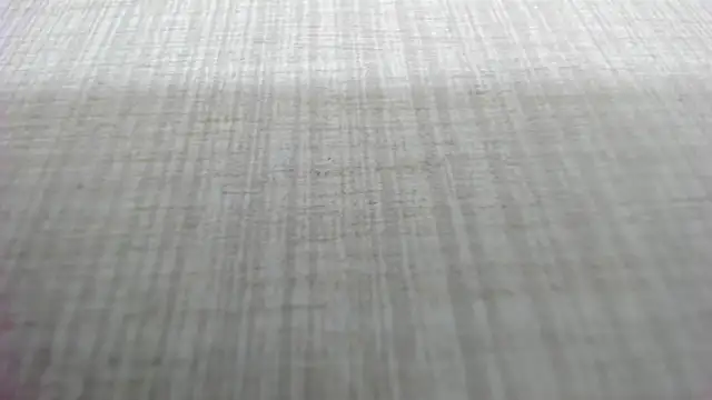 Snapshot of AishaRouhi chatting on 03/04/26, 05:13 AishaRouhi online show from 03/04/26, 05:13