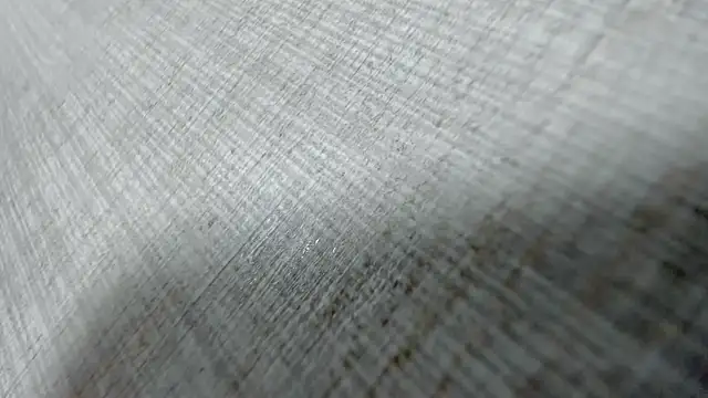 AishaRouhi online show from 03/31/26, 04:13