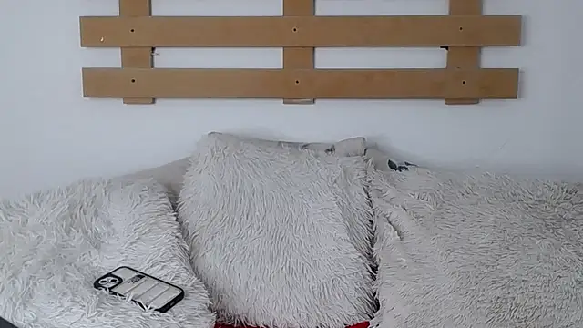 Snapshot of Steev_Novoa chatting on 01/26/25, 06:28 Steev Novoa online show from 01/26/25, 06:28