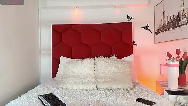 Snapshot of Steev_Novoa chatting on 02/10/26, 04:05 Steev Novoa online show from 02/10/26, 04:05