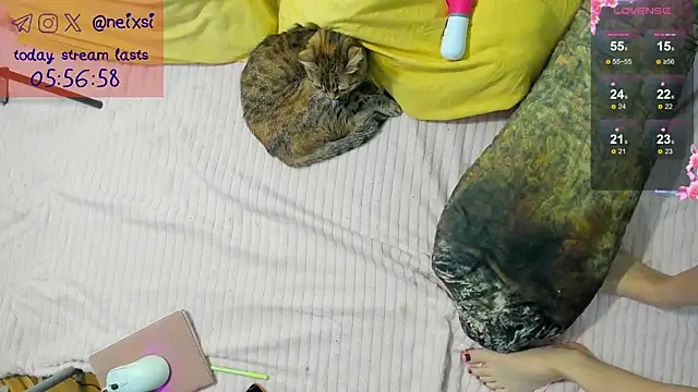 ixsi online show from 10/23/25, 07:40