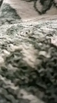 Snapshot of sokrates13 chatting on 01/11/25, 07:38 sokrates13 online show from 01/11/25, 07:38