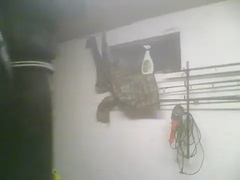 Rejtelmesest online show from 02/22/25, 05:24