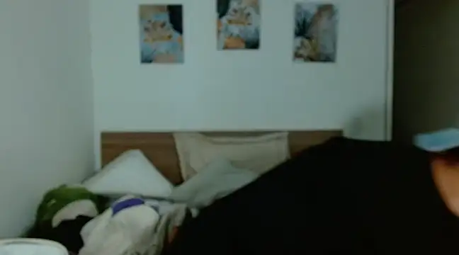 Baltazar Dupont online show from 01/24/25, 09:47