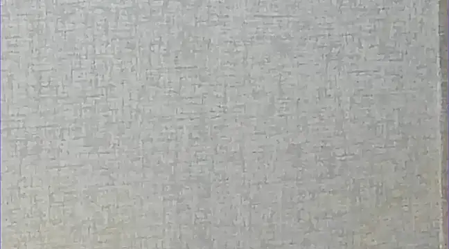 Ricardogo19 online show from 03/22/25, 02:37