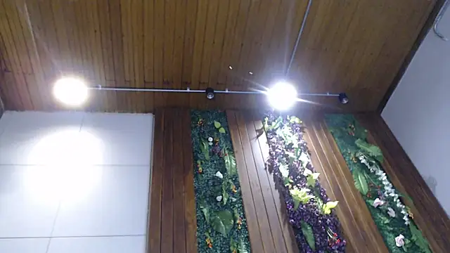 DrakeNeumann online show from 02/05/25, 11:06