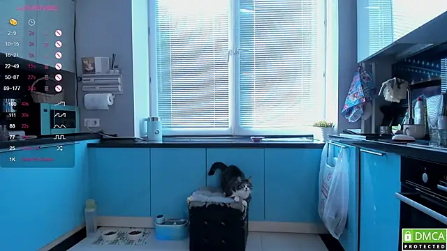 wwildfox online show from 03/16/26, 05:44