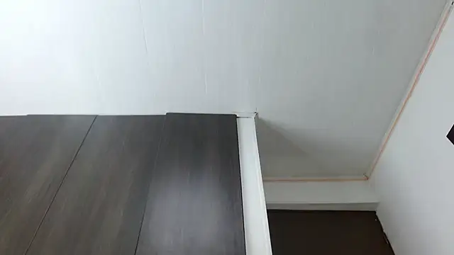 Snapshot of Hendry_ chatting on 01/13/25, 02:50 Hendry online show from 01/13/25, 02:50