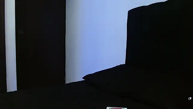 Snapshot of Hendry_ chatting on 03/21/25, 04:17 Hendry online show from 03/21/25, 04:17