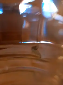 Snapshot of kx93 chatting on 10/07/25, 03:47 kx93 online show from 10/07/25, 03:47