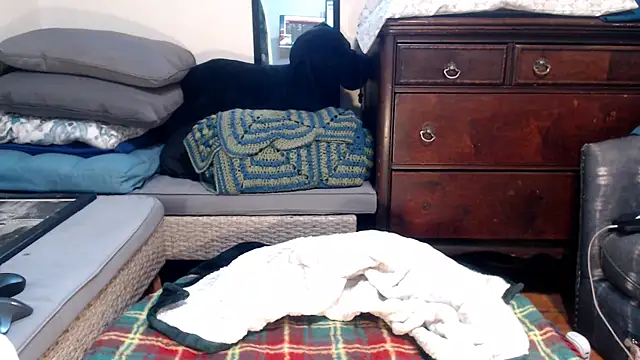 ladyscarlotta online show from 02/09/25, 04:50