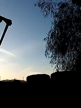 luke thighwalker2469 online show from 12/31/24, 12:11