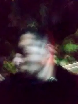 mis312 online show from 03/04/25, 01:45