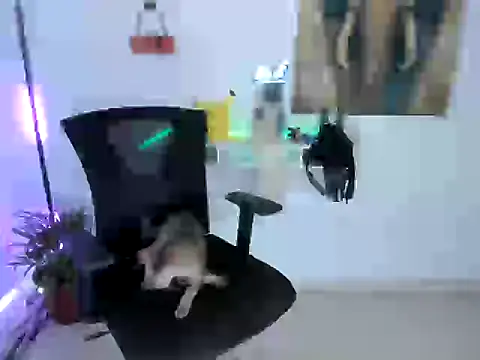 Snapshot of nairobbits chatting on 10/09/25, 01:09 nairobbits online show from 10/09/25, 01:09