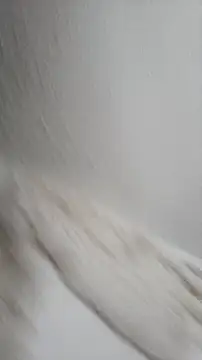 Siriss boyrag online show from 11/22/25, 08:52