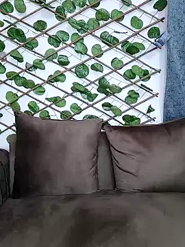 Snapshot of Bold-Cat chatting on 12/05/24, 11:07 Bold-Cat online show from 12/05/24, 11:07