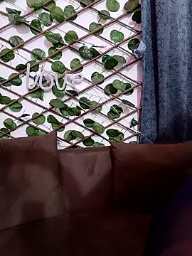 Snapshot of Bold-Cat chatting on 02/07/25, 06:02 Bold-Cat online show from 02/07/25, 06:02