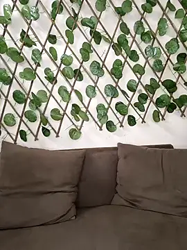 Snapshot of Bold-Cat chatting on 10/02/25, 08:16 Bold-Cat online show from 10/02/25, 08:16