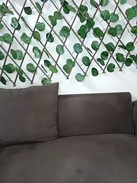 Snapshot of Bold-Cat chatting on 11/17/25, 04:46 Bold-Cat online show from 11/17/25, 04:46