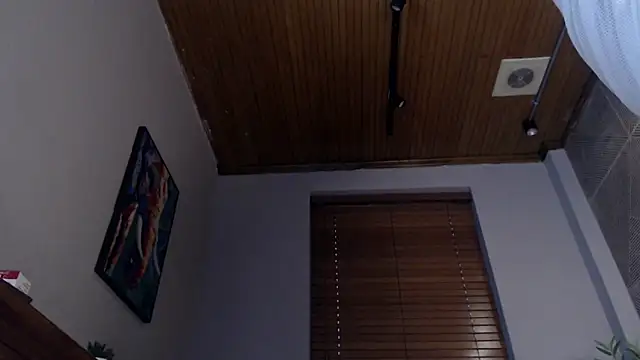 Ian Daviz online show from 02/11/25, 10:50