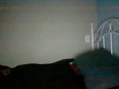 SmokingSloth online show from 03/16/25, 05:14