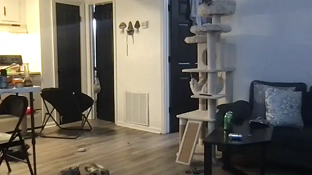 SpunCandy online show from 10/01/25, 04:29