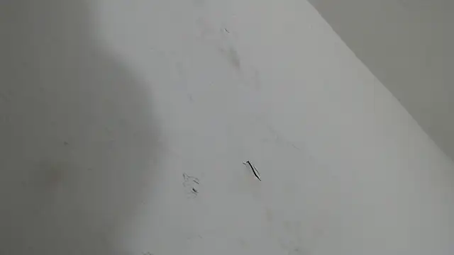 brant garciabbc online show from 01/18/26, 06:17