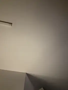 tigerrtiger online show from 02/19/25, 12:46